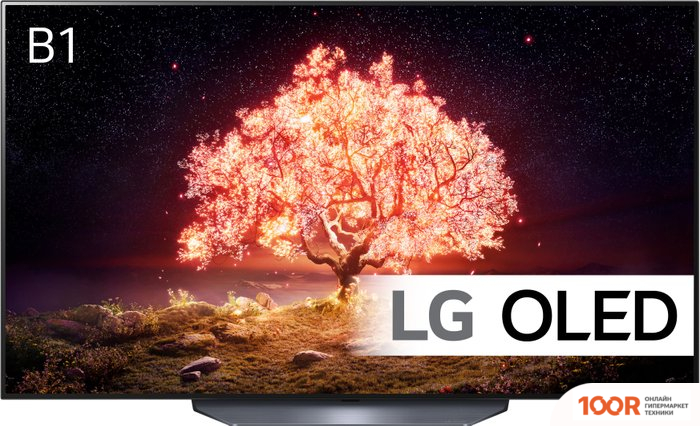 Телевизор LG OLED55B13LA (287095)