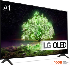 Телевизор LG OLED55A1RLA (287094)