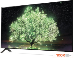 Телевизор LG A1 OLED48A13LA (286915)