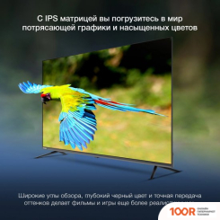 Телевизор Hyundai H-LED65BU7100 (286304)