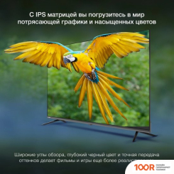 Телевизор Hyundai H-LED50BU7100 (286277)