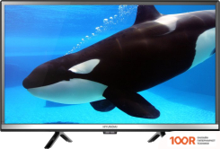 Телевизор Hyundai H-LED24FT2001 (286219)