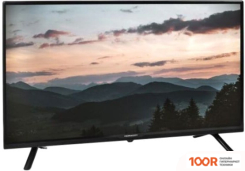 Телевизор Horizont 32LE5011D (286179)