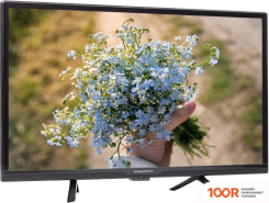 Телевизор Horizont 24LE5011D (286176)