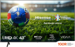 Телевизор Hisense 43A6N EU (286069)