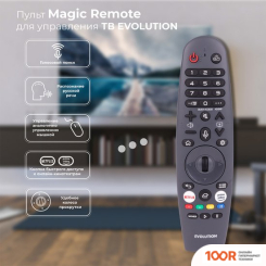 Телевизор Evolution WOS65MR1SBUHD (285845)