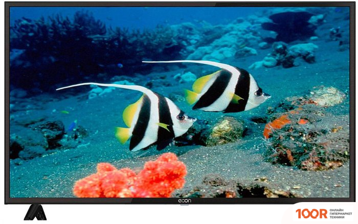 Телевизор Econ EX-43FS005B (285738)