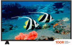 Телевизор Econ EX-43FS005B (285738)