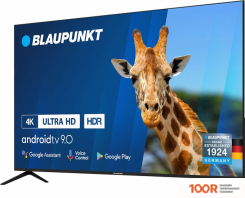 Телевизор Blaupunkt 65UN265 (285367)