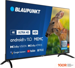 Телевизор Blaupunkt 50UBC6000T (285335)