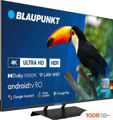 Телевизор Blaupunkt 50UB7000T (285333)
