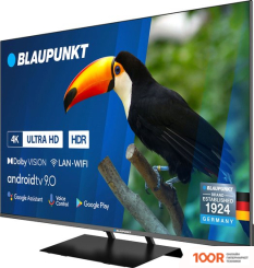 Телевизор Blaupunkt 50UB7000T (285333)