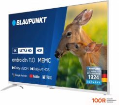 Телевизор Blaupunkt 43UBC6010T (285320)