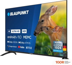 Телевизор Blaupunkt 43UBC6000 (285318)