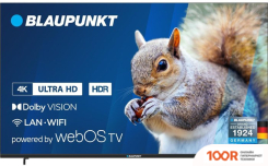 Телевизор Blaupunkt 43UB5000 (285313)