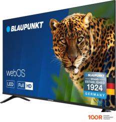 Телевизор Blaupunkt 42FW5000T (285309)