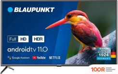 Телевизор Blaupunkt 40FBC5000T (285303)