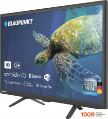 Телевизор Blaupunkt 24HB5000 (285274)