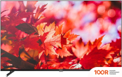 Телевизор Blackton BT 50FSU42B (285271)