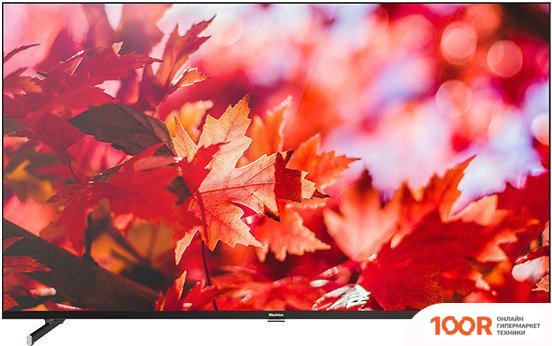 Телевизор Blackton BT 50FSU42B (285271)