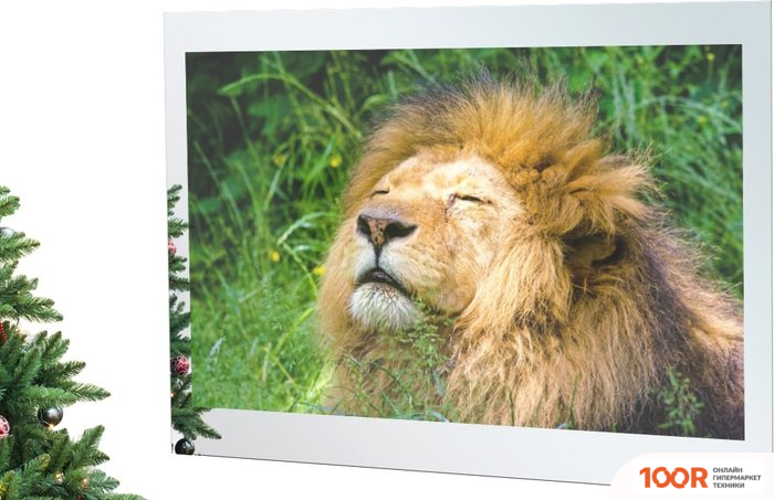 Телевизор AVEL AVS755SM (MAGIC MIRROR) (284892)