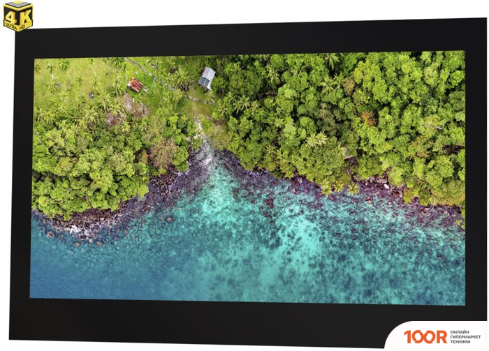 Телевизор AVEL AVS555SM (ЧЕРНЫЙ) (284887)