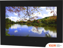 Телевизор AVEL AVS245SM (ЧЕРНЫЙ) (284858)