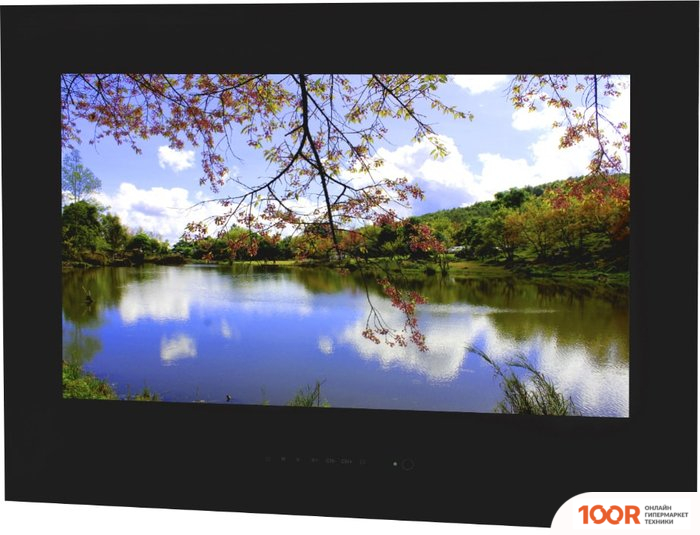 Телевизор AVEL AVS245SM (ЧЕРНЫЙ) (284858)