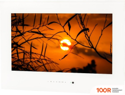 Телевизор AVEL AVS245SM (БЕЛЫЙ) (284857)