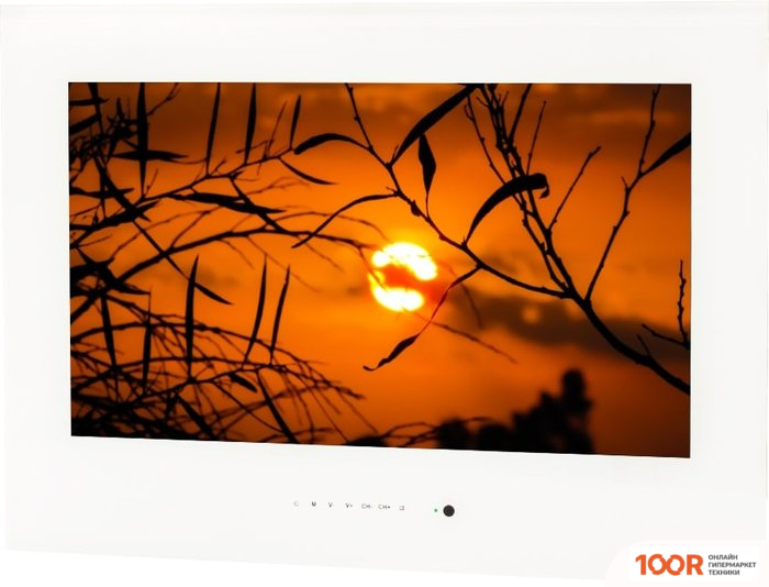 Телевизор AVEL AVS245SM (БЕЛЫЙ) (284857)