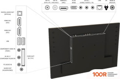 Телевизор AVEL AVS240WS (БЕЛЫЙ) (284854)