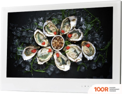 Телевизор AVEL AVS240WS (БЕЛЫЙ) (284854)