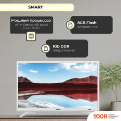 Телевизор ASANO 24LH8011T (284783)