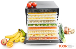 Tribest SEDONA COMBO RAWFOOD SD-P9150 (ПЛАСТИКОВЫЕ ЛОТКИ) (283797)