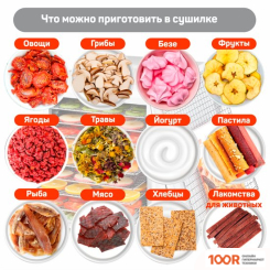 Pullman PL-1103 (283736)