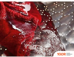 Miele WTD280 WCS (268819)