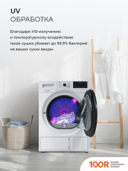 LEX LDM10WD (268398)