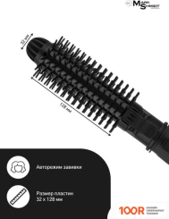 Mark Shmidt 403 (265836)