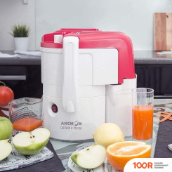 Соковыжималка Аксион СЦ 32.02 ДЖУС (265102)