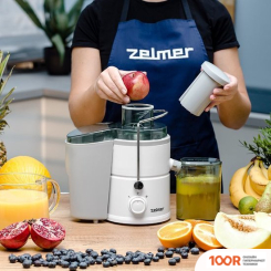 Соковыжималка Zelmer ZJE3800 (265090)