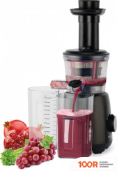 Соковыжималка Scarlett SC-JE50S54 (264964)