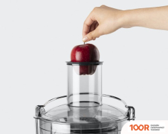Соковыжималка NutriBullet NBJ100 (264876)