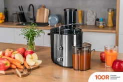 Соковыжималка Gotze & Jensen JM501X (264663)