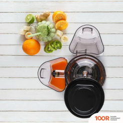 Соковыжималка Goetze & Jensen SJ901T (264650)