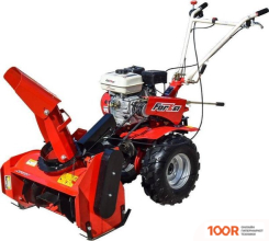 Forza ПСУМБ 02.04.01 (264184)