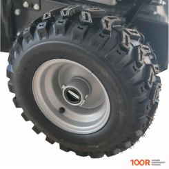 Evoline STANDARD SBG 700 E (264172)