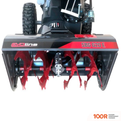 Evoline STANDARD SBG 620 E (264171)