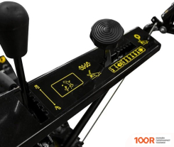 Champion ST655 (264045)