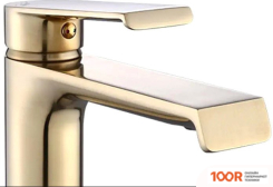 Rea HASS MATT B9969 (ЗОЛОТО) (260460)