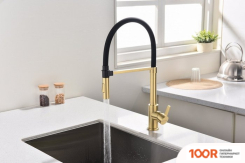 Paulmark HA214021-SBG (ЗОЛОТО/СВЕТЛОЕ БРАШИРОАННОЕ ЗОЛОТО) (259921)